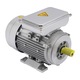 Motor electric, 240V, 750W, cupru pur, eficienta ridicata, protectie IP55