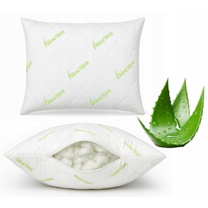 bogenhanf ähnlich Bogenhanf 'Hahnii Golden Edge' – Foliage Factory