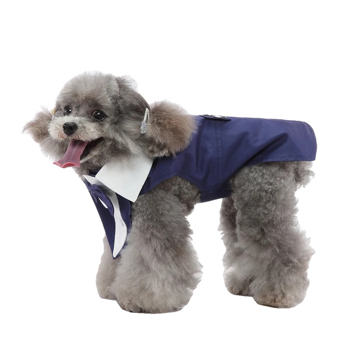 Rochie pentru caini, Tuxedo formal, albastru, M
