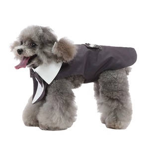 Haine animale de companie