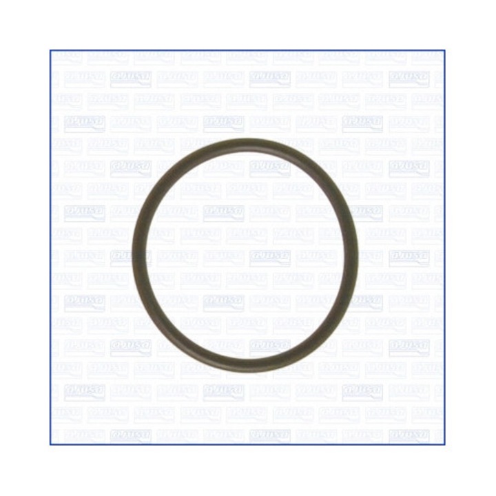 Garnitura, Flansa Lichid Racire 16024400 Citroën Jumper 2 Fiat Ducato Ford Ranger/Tourneo Custom V362/Transit Ldv Convoy