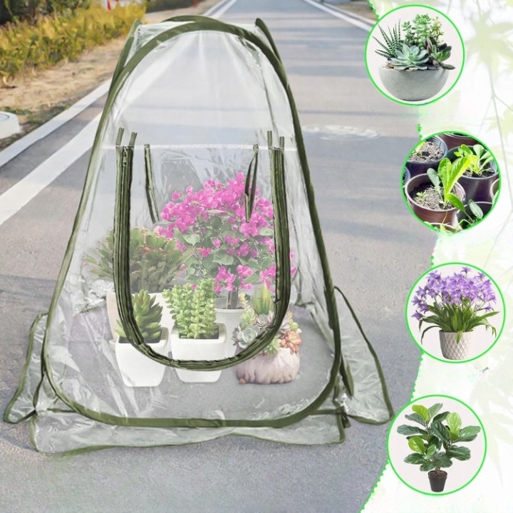 Mini sera pop-up, 70x70x80cm, protectie plante, material PCW, pentru gradina si balcon