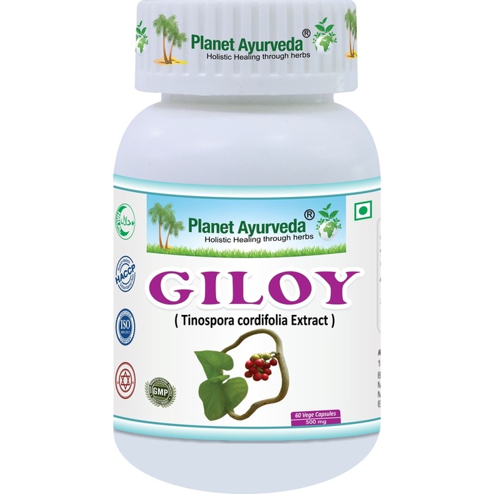 Supliment alimentar Guduchi (Giloy) 500mg, Planet Ayurveda, 60 capsule, 100% natural, pentru imunitate