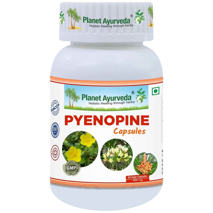 Supliment alimentar Pyenopine, Planet Ayurveda, 500mg, 60 capsule, suport pentru Tract urinar