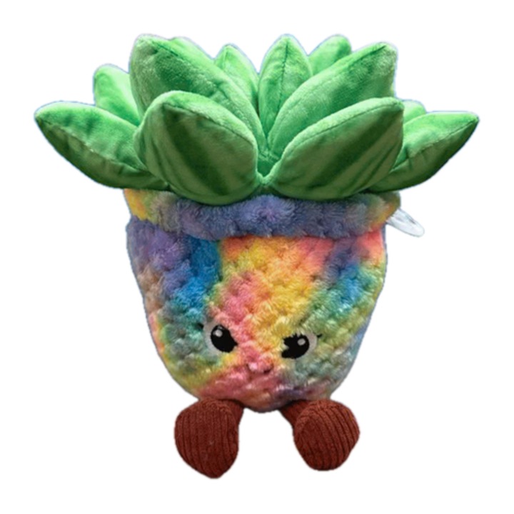 Jucarie plus, ghiveci cu Aloe Vera, 22 cm, colorat