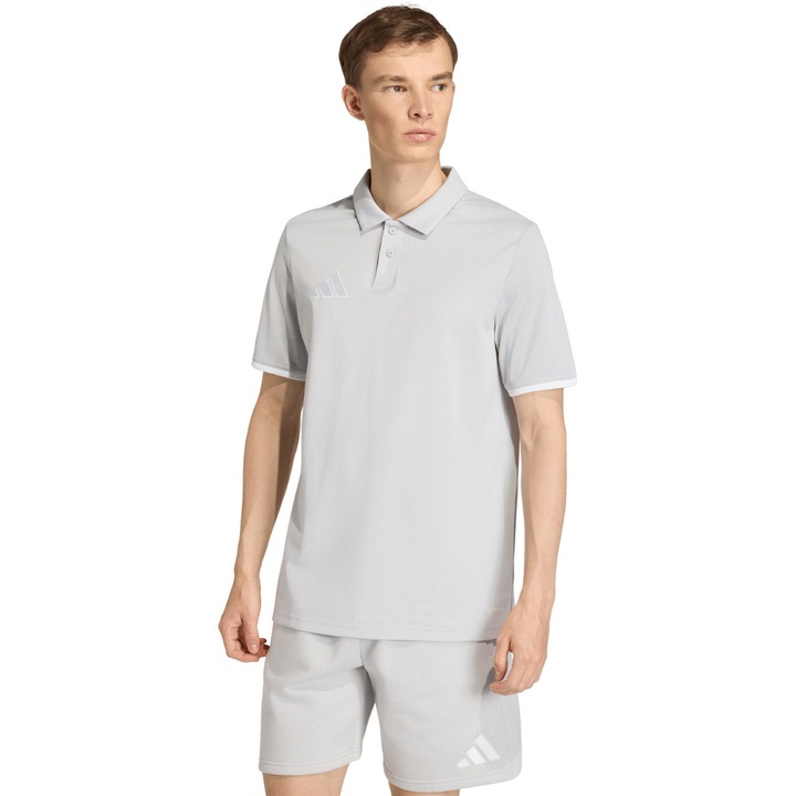 Tricou barbati, adidas, Entrada 22, confortabil, gri, material de calitate superioara