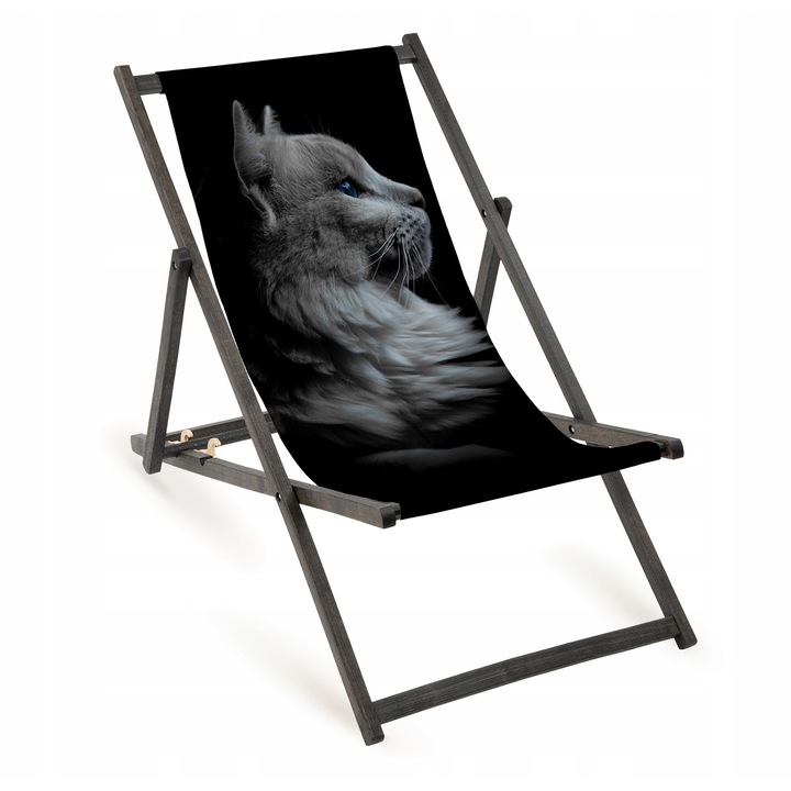 Sezlong din lemn cu imprimeu colorat, Allbag, pliabil, 110x55cm, pentru gradina si plaja