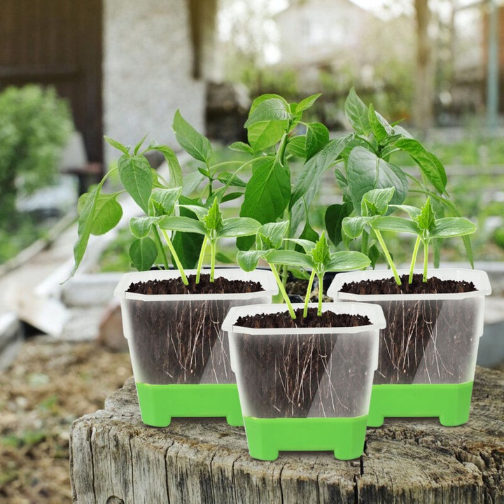 Ghivece patrate din silicon pentru pepiniera, verde/transparent