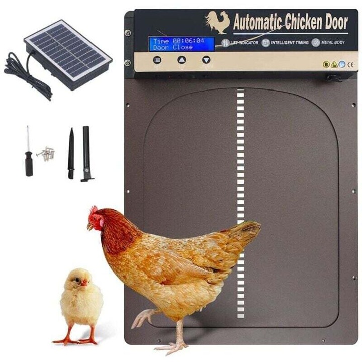 Usa automata pentru cotet de gaini, 35.3x24.3cm, alimentare solara, display LED, negru