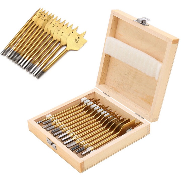 Set 13 burghie plate din otel carbon, 1/4" hex, cutie de depozitare