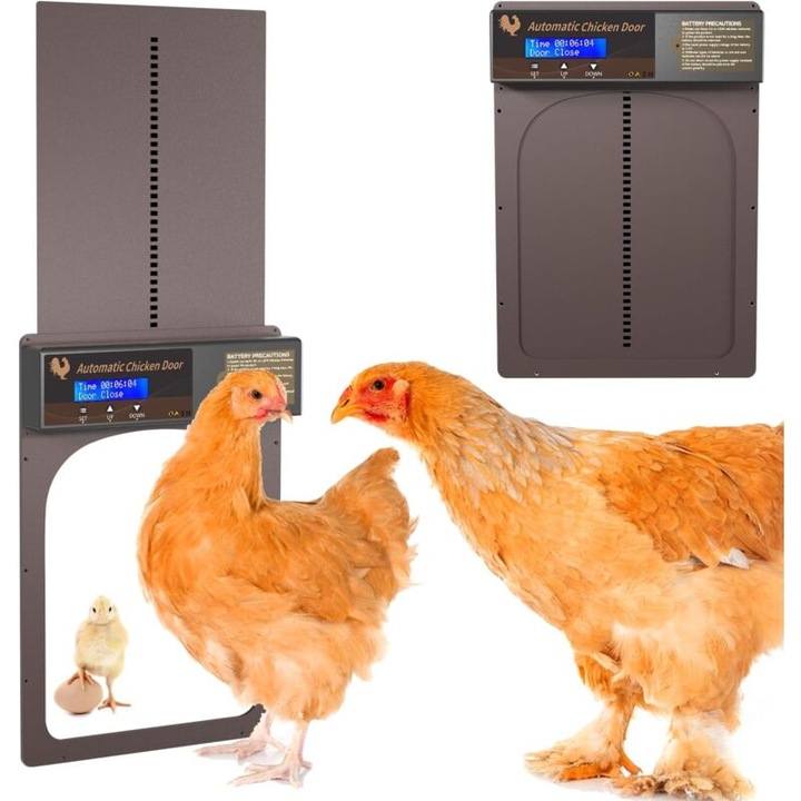 Usa automata pentru cotet de gaini, cu moduri timer si manual, alimentare cu baterii, instalare usoara