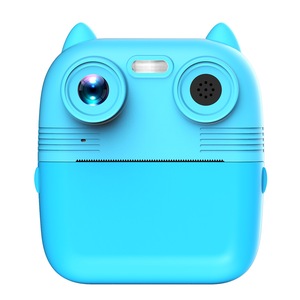 Aparate foto instant