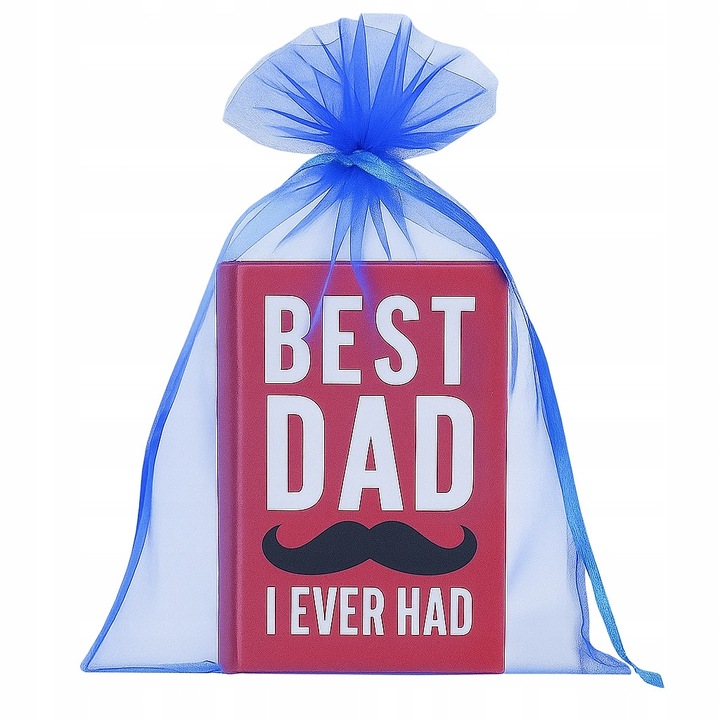 Set 10 Woretki din Organza Albastre 15x20 cm pentru Cadouri