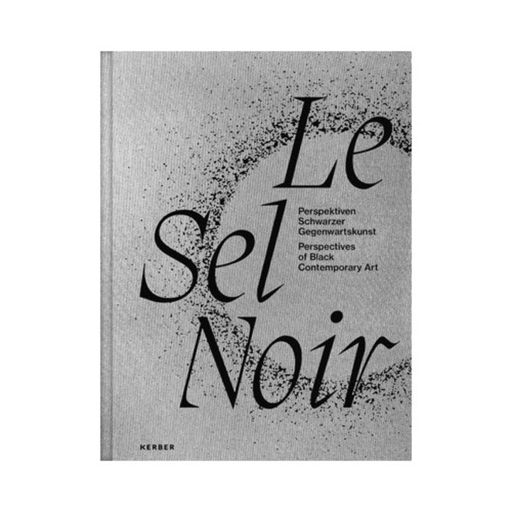 Le Sel Noir: Perspectives Of Black Contemporary Art -