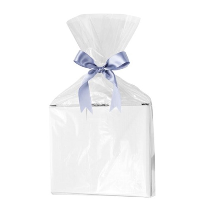 Set 100, Pungi folie OPP NEOPAK, fara clapeta, 500x700 mm, Transparent, 25 µm