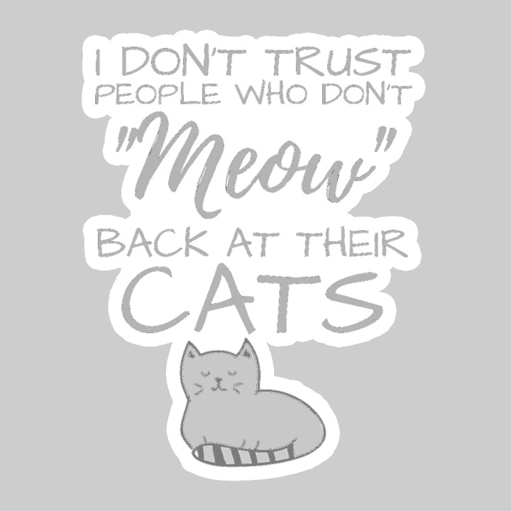 Sticker Funny Cat Lady Quote, Autoadeziv, Cool Funny Texte, Cri-Flo, 10 cm