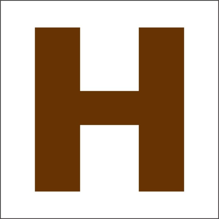 Literă din lemn 45mm, 10 buc/pachet H