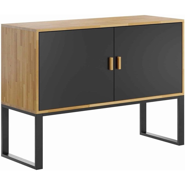 Comoda din lemn, cu 2 usi, finisaj stejar negru, pentru living, hol sau birou, 110x80x40 cm, DEERHORN