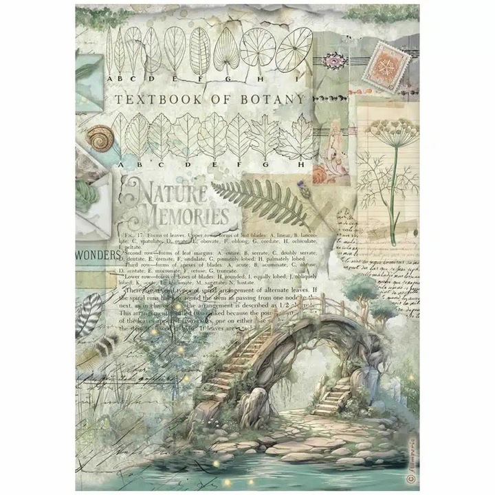 A4 rizspapír csom. - Herbarium Silvae bridge