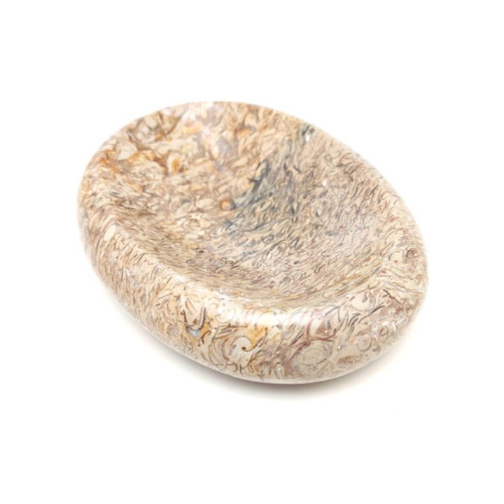 Bol scoică jasp (MDG)