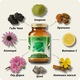 Supliment alimentar My Way BALANCE IMMUNO MAX, 60 capsule