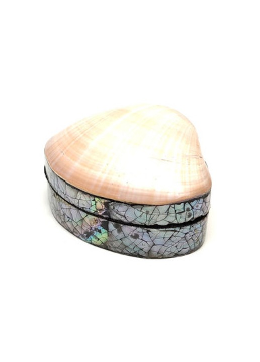 Kagyló ékszertartó doboz fehér-krém kis méretű díszdoboz 7-8×6 cm