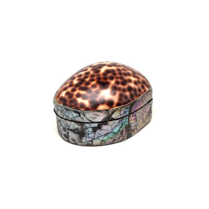 Barna-fehér pöttyös kagyló ékszertartó doboz egyedi mintás 6×5 cm