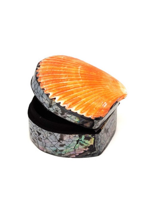 Narancs kagyló ékszertartó doboz vidám színű ajándékdoboz 5-6×6 cm