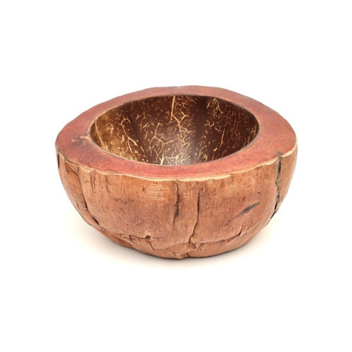 Bol nucă de cocos 7-9x16-20cm