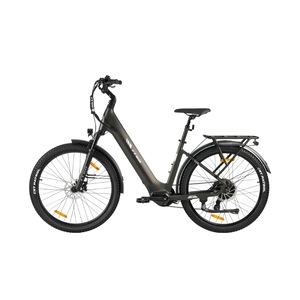 Biciclete electrice