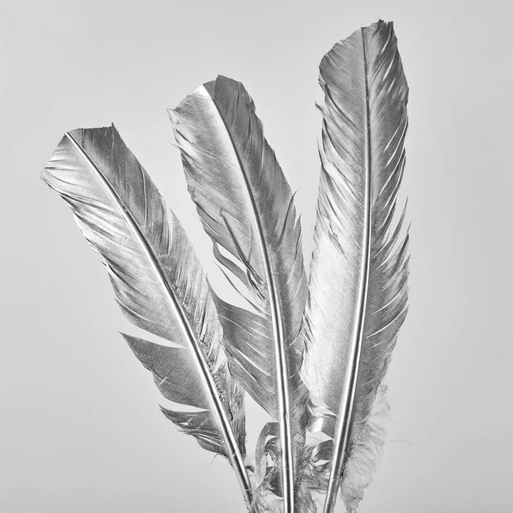 Пакет от 3 сребърни пера за декорация, 30 см - Щраусови пера