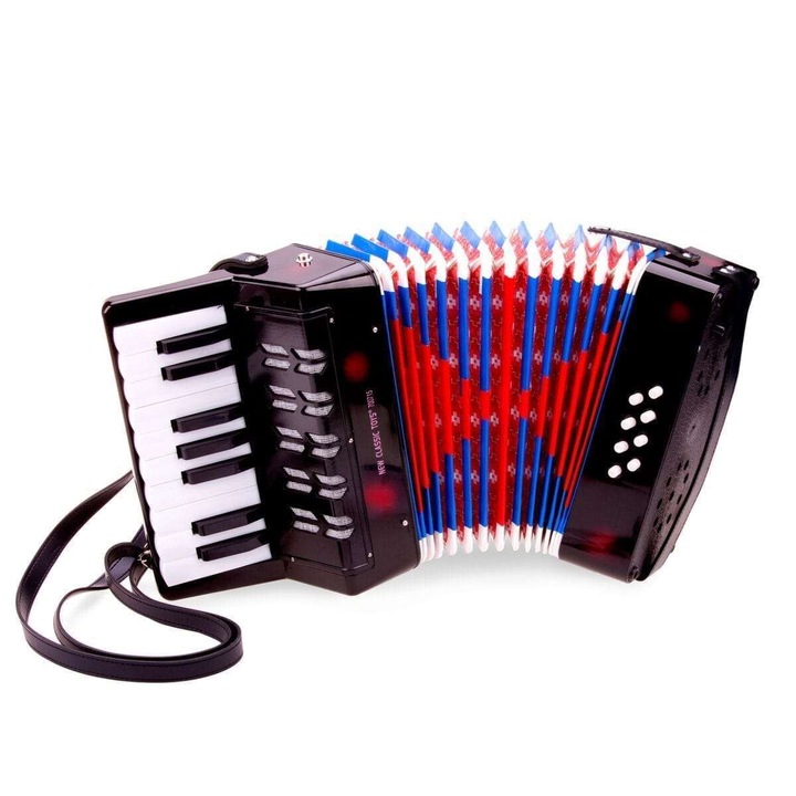 Acordeon New Classic Toys, negru