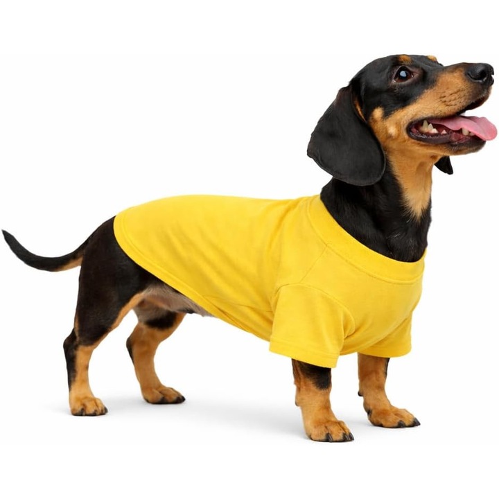 Tricou, lovelonglong, Bumbac, Mov, D-S (für Dackel)