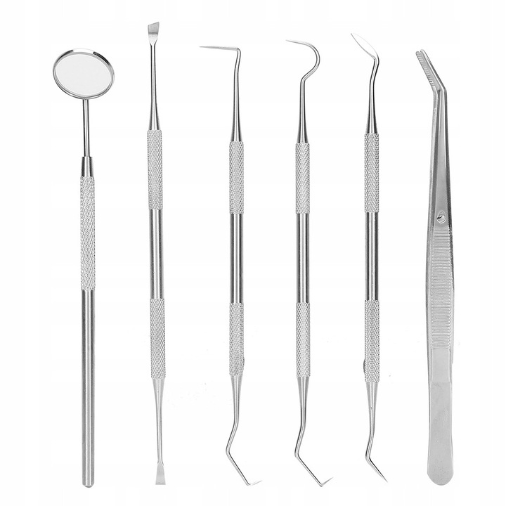 Set unelte dentare 6 piese, etui din piele PU, inox, pentru curatare si ingrijire orala