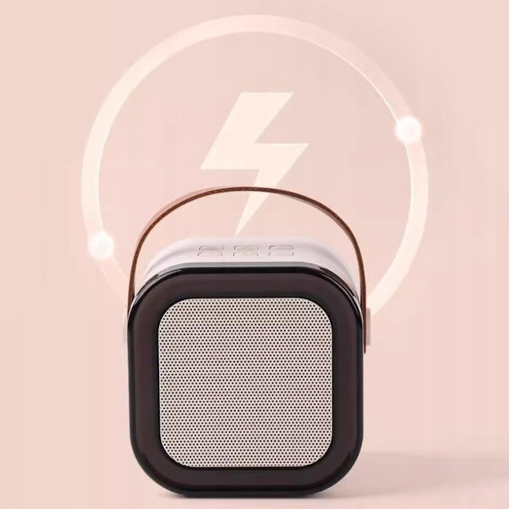 Set karaoke pentru copii: 2x microfon fara fir + difuzor Bluetooth, iluminare colorata, 10m, roz cires