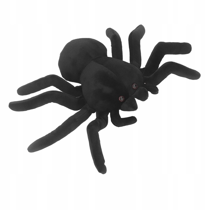 Paianjen de plus, negru