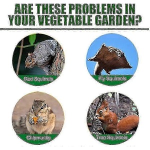 Articole daunatori gradina