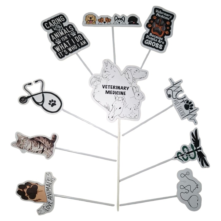 Decoratiune topper tort carton, tematica medic veterninar, aniversare - 10 piese