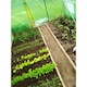 Тунелна градинска оранжерия 500x1000x200 см, PE фолио 140г/м2 UV4, 10 сегмента, 20 прозореца, врата с метална рамка и панти, 50 кв.м, зелена