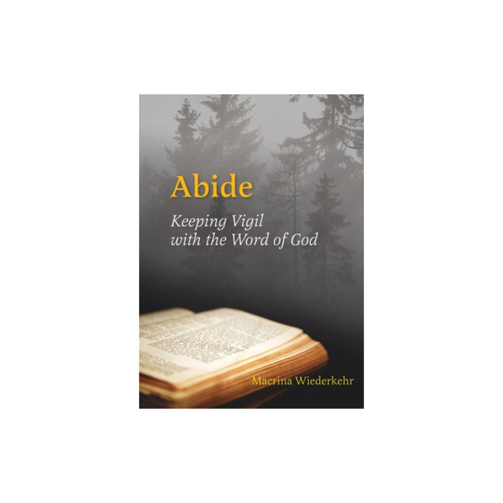 Abide: păstrând veghea cu Cuvântul lui Dumnezeu, Macrina Wiederkehr, 2023