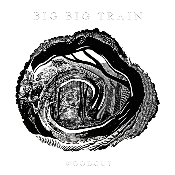 Big Big Train - Woodcut (Inkwell Black Vinyl)