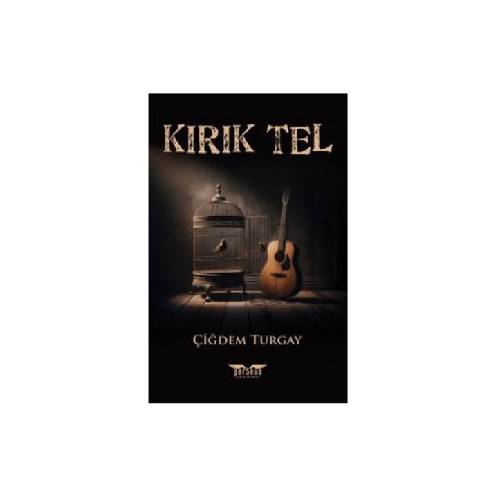 Coarda rupta in limba turca - Kırık Tel, autor Çiğdem Turgay