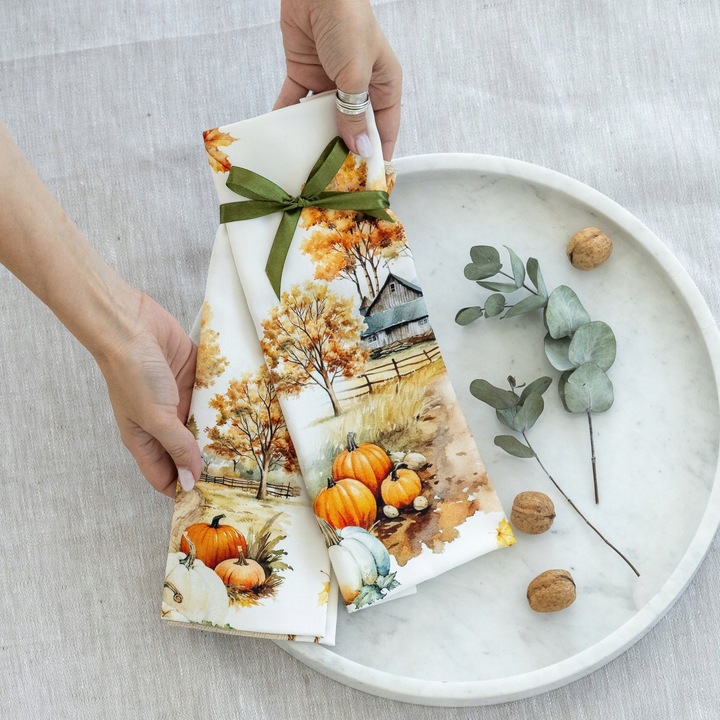 Set prosoape de bucatarie 2 bucati 45x65cm Listelle Terra 100% bumbac