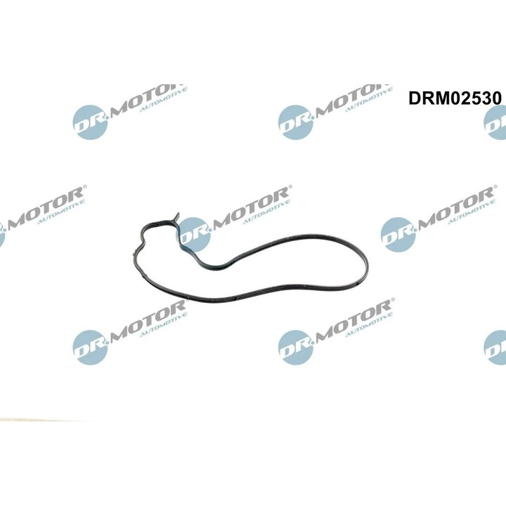 Garnitura, Pompa De Apa Pompa Apa Drm02530 Bmw 1/2/3/3 Gran Turismo/3 Touring/4/4 Gran/5/5 Touring/6 Gran Turismo/7/X3