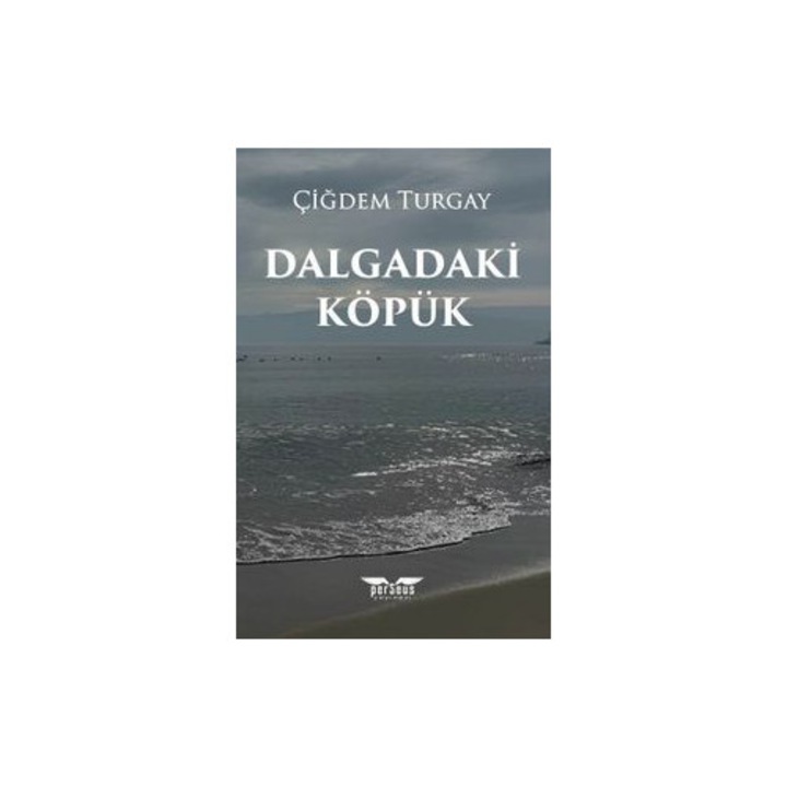 Spuma de pe valuri in limba turca - Dalgadaki Köpük, autor Çiğdem Turgay