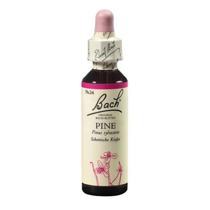Remediu floral Bach din pin, 20ml, extract de plante, picături