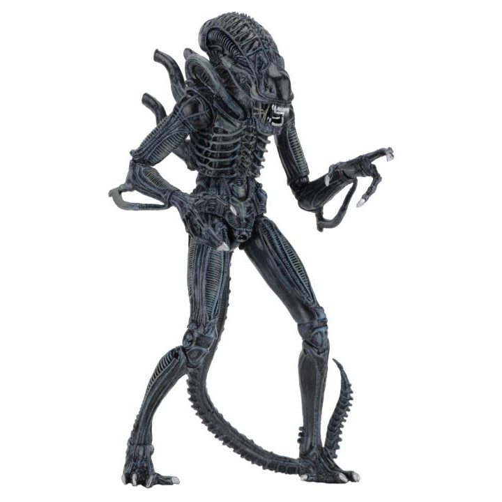 Figurina Aliens Action Figure 23 cm Ultimate Alien Warrior Blue - eMAG.ro