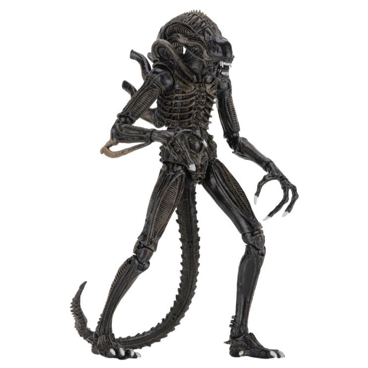 Figurina Aliens Action Figure 23 cm Ultimate Alien Warrior Brown - eMAG.ro