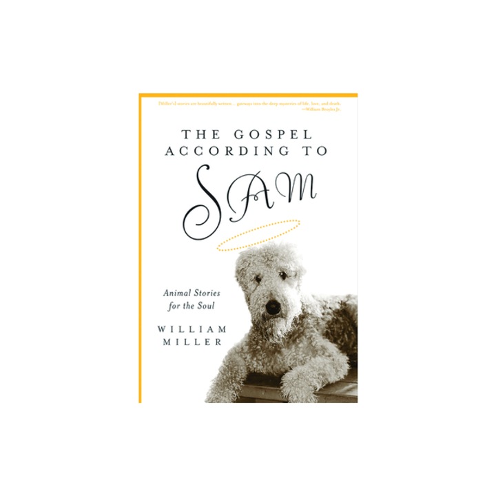 The Gospel According to Sam; Animal Stories for the Soul