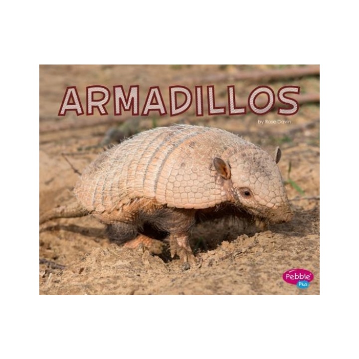 Armadillos, Rose Davin (Author)